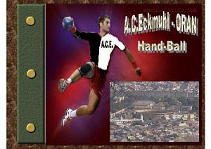 BASKET HAND 19XX amicale des anciens basketteurs et handballeurs d eckmuhl    (12)